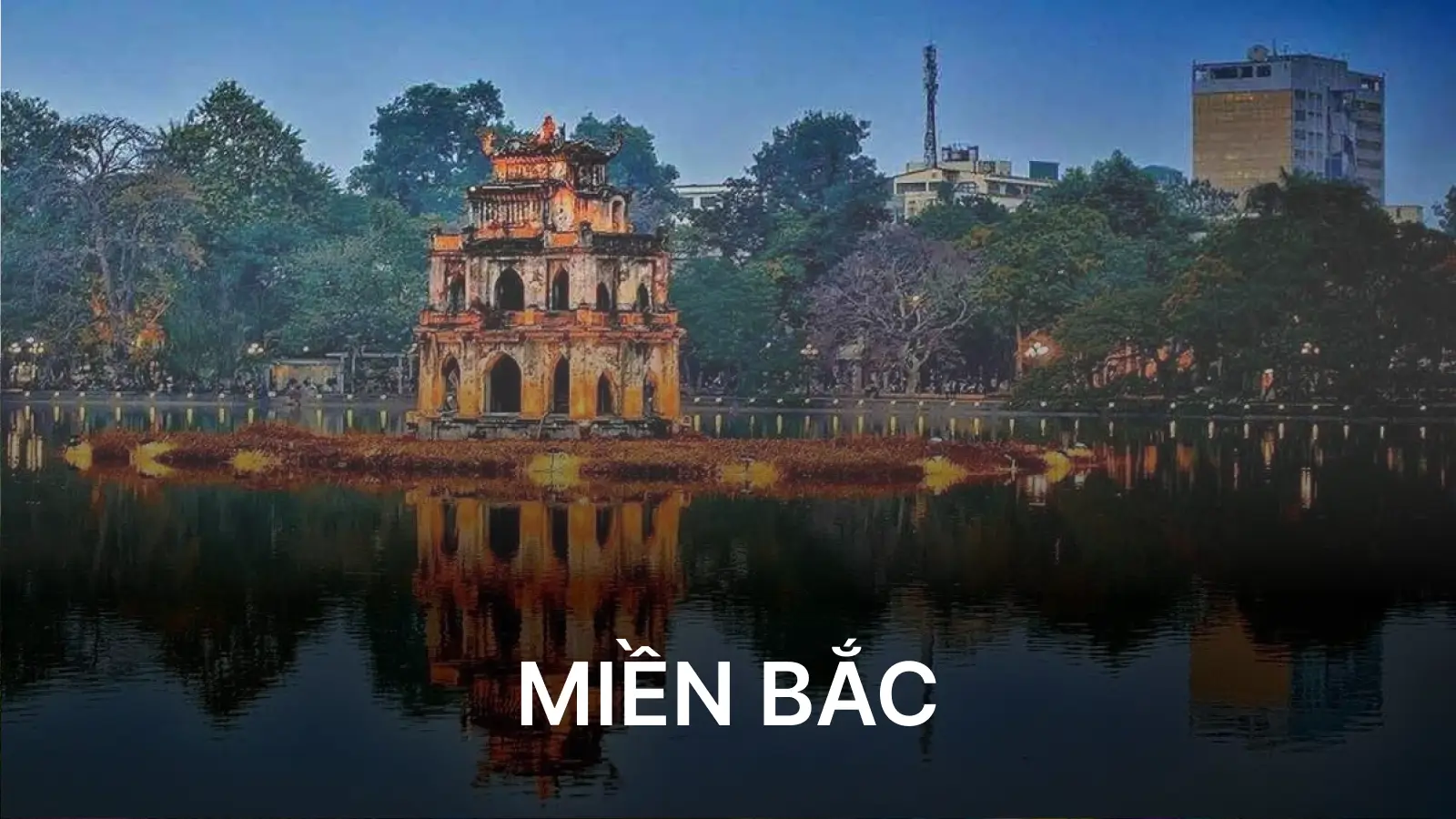 Chi nhánh nha khoa miền bắc